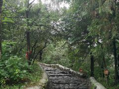 -阳台山自然风景区