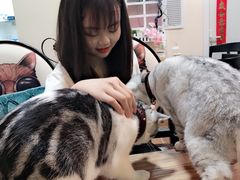 -李小姐の猫咖啡馆(五角场店)