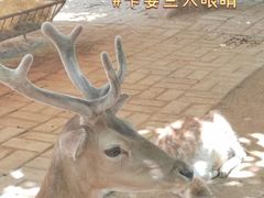 -西安秦岭野生动物园