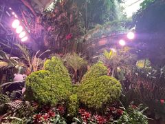 -正佳雨林生态植物园