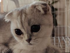 -0907餐厅(核桃园店)