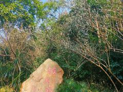 -广州市白云山风景名胜区