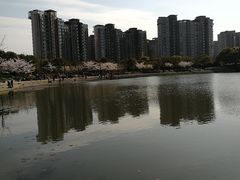 -新江湾城公园