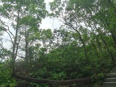 -梧桐山风景名胜区