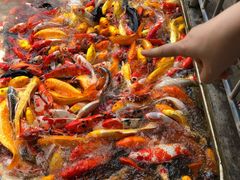 -泰安地下龙宫景区