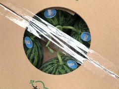 -上海龙吴水胜海发市场