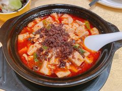 陈麻婆豆腐-陈麻婆豆腐(春熙店)