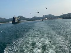 -海驴岛(荣成市)