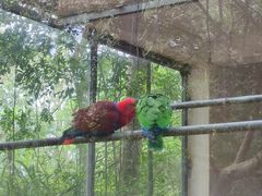 -广东茂名森林公园