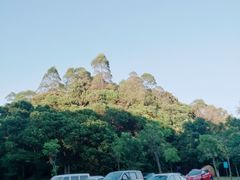-广州市帽峰山景区