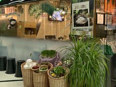 -烹然四季椰子鸡火锅(团结湖总店)