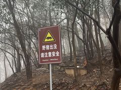 -紫金山山顶公园