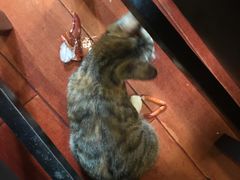 -吉友粥底火锅(方斜路店)