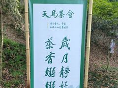 -上海佘山国家森林公园天马山园
