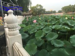 -小王府(什刹海店)