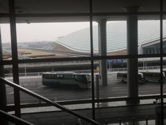 -稻香村(首都国际机场3号航站楼店)