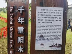 -蔡家宅