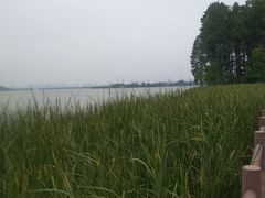 -东湖落雁景区