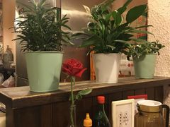 -绝城芋儿鸡(犀浦旗舰店)