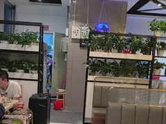 -四季合味椰子鸡(南山大冲店)