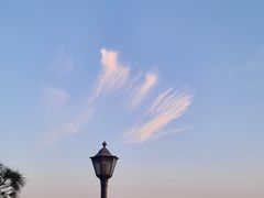 -缙云山景区