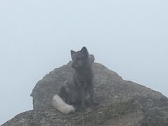 -灵山