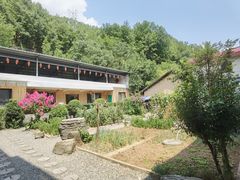 -柞水乾佑红门家菜