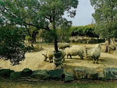 -上海野生动物园