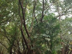 -北海市海滨公园