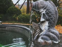 -白桦林温泉谷