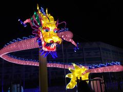 -锦江乐园舞狸花花游园会(夜场专享)