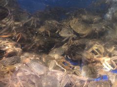 -海天盛宴新派海鲜自助餐厅(群力店)