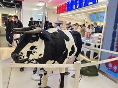 -红星前进面包牛奶公司(君太店)