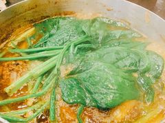羊排蝎子大锅-蝎王府羊蝎子(天通苑店)
