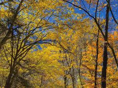 -叠溪松坪沟景区