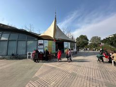 -神仙树公园