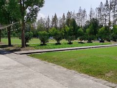 -前小桔亲子创意农场·草莓采摘·露营烧烤