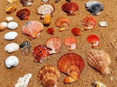 -那香海钻石沙滩浴场