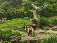 -宁波野生动物园