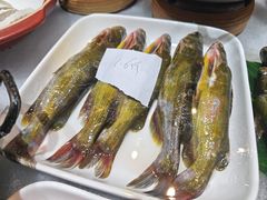 -乡下姥渔馆(齐落山路店)