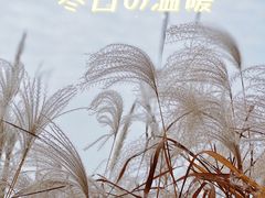 -梁鸿国家湿地公园