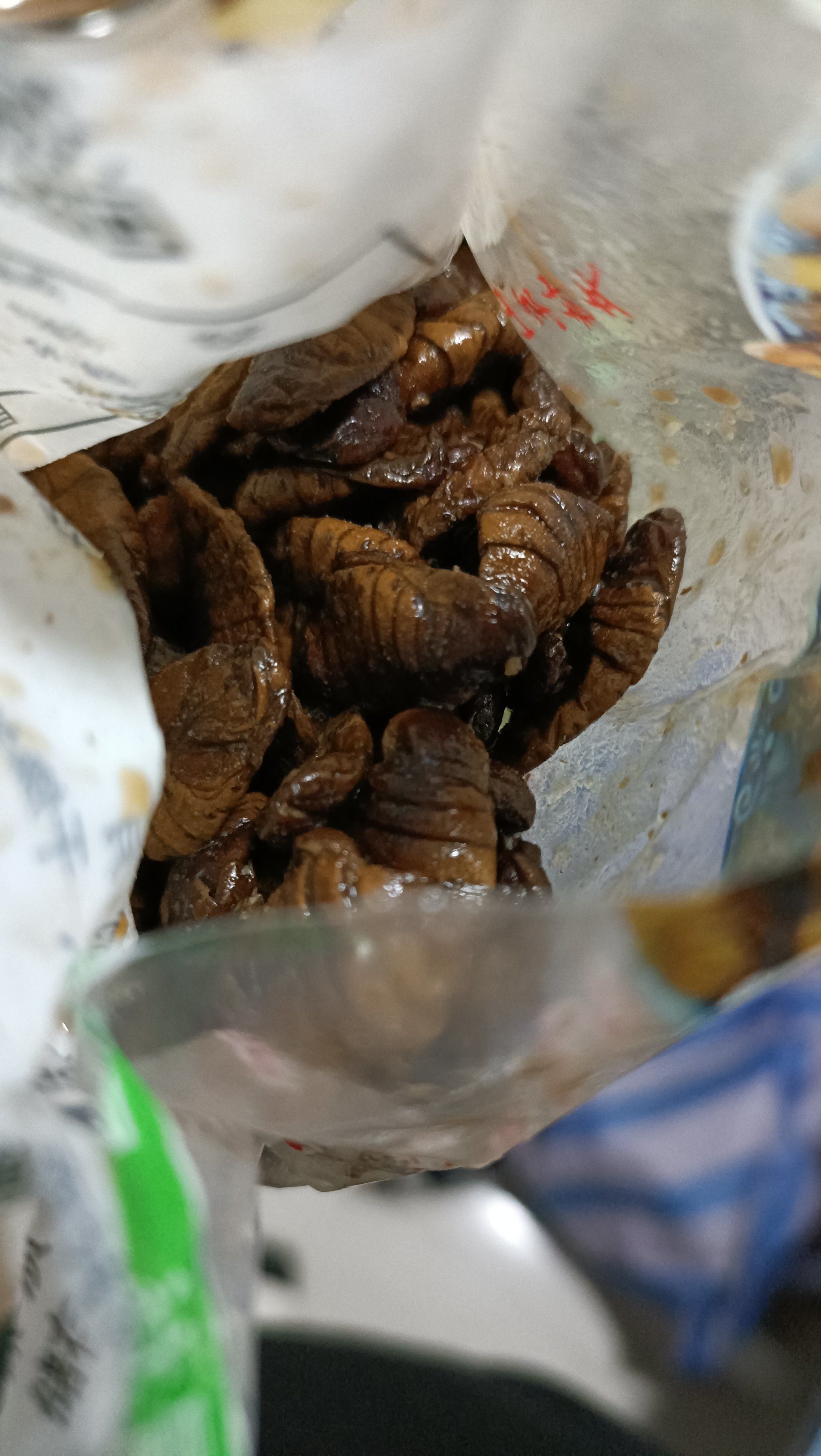 怕虫子的不要进