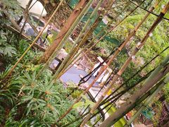 -花水湾第一村温泉大酒店