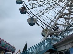 游乐设施-苏州梦幻乐园