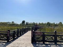 -野鸭湖国家湿地公园