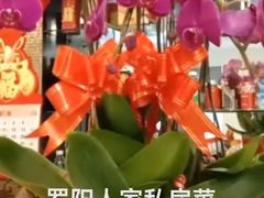 -罗阳人家私房菜(罗阳路店)
