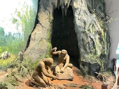 -重庆自然博物馆(新馆)