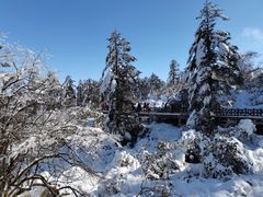 -瓦屋山景区