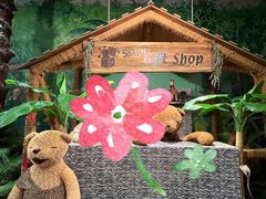 -济州岛泰迪熊博物馆