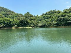 -鼎湖山风景区